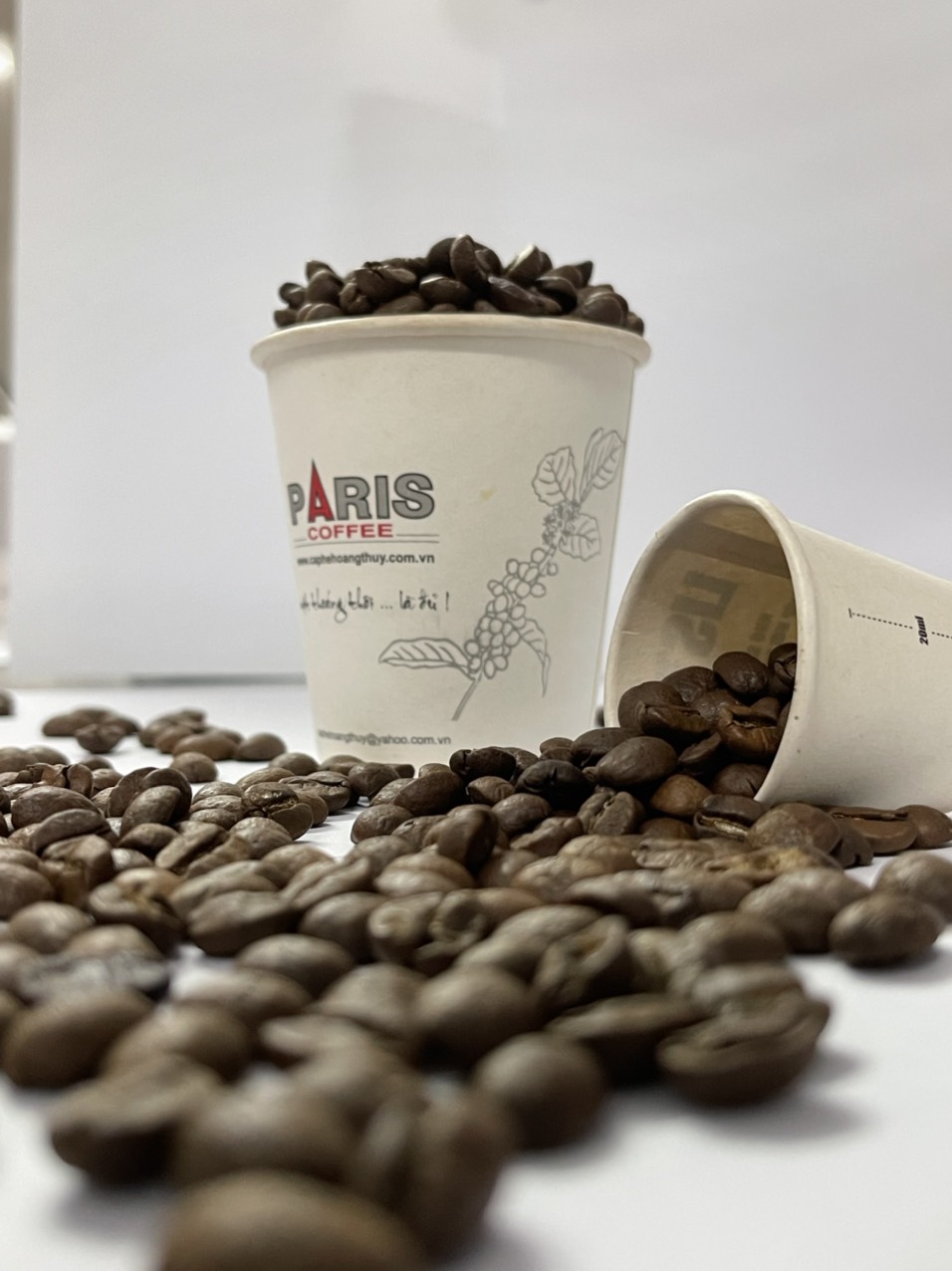Cà phê hạt Espresso Mario Đích thực - Arabica 100% - Chua thanh, đắng nhẹ, gu nhẹ nhàng