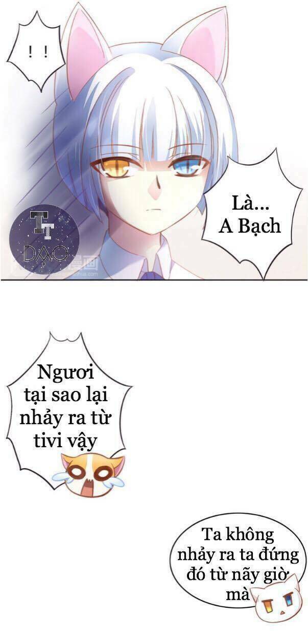 dưới móng vuốt mèo chapter 4 7