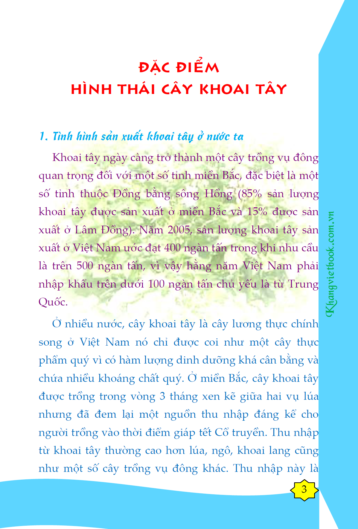 Bí Quyết Thành Công Kĩ Thuật Trồng Khoai Tây Hiệu Quả - KV