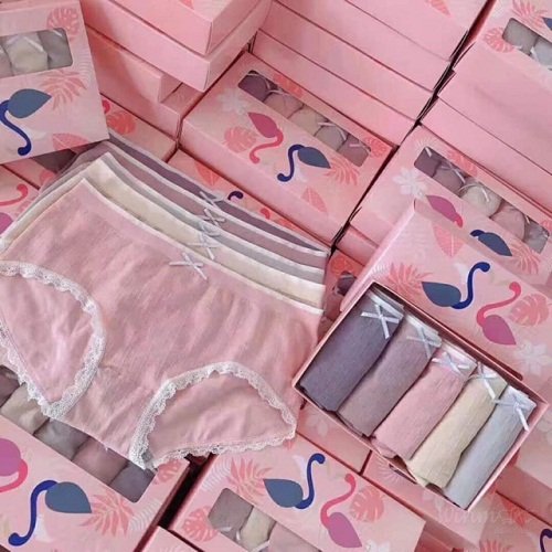 HỘP 5 QUẦN LÓT HẠC HỒNG KHÁNG KHUẨN NỮ