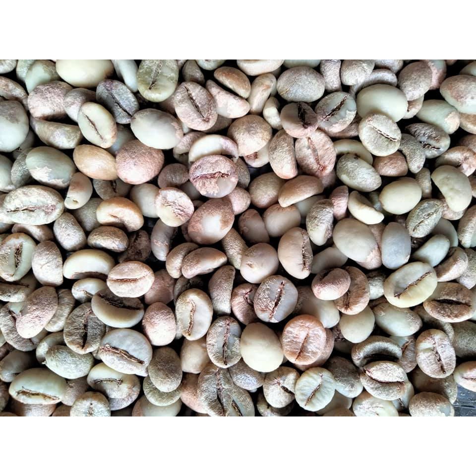 500g Cà Phê Nhân Robusta