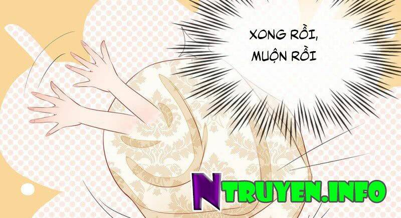 thiếu soái của tôi chính là manh như vậy chapter 6 5