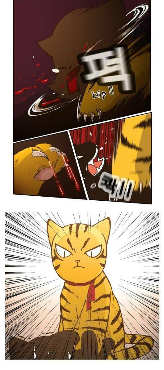 papi nyang chapter 4 4