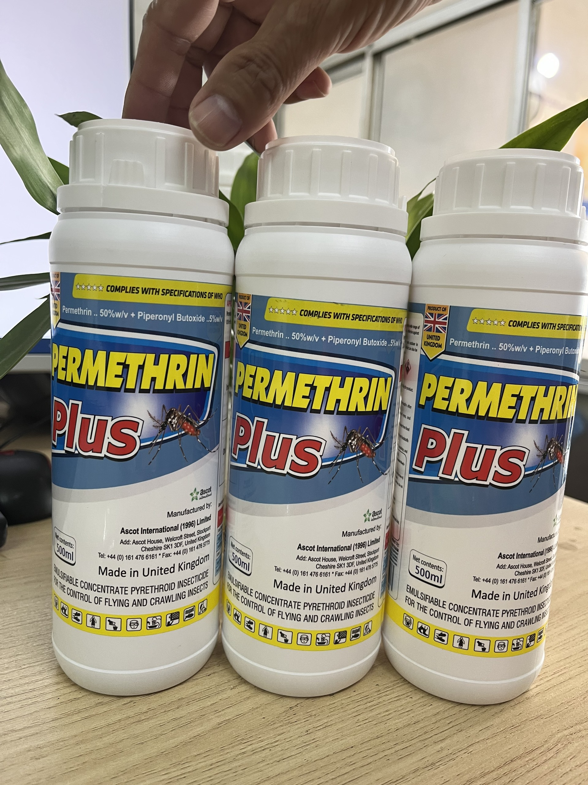 Thuốc diệt muỗi nhập khẩu nguyên chai Anh Quốc Permethrin Plus 50EC chai 500 ml