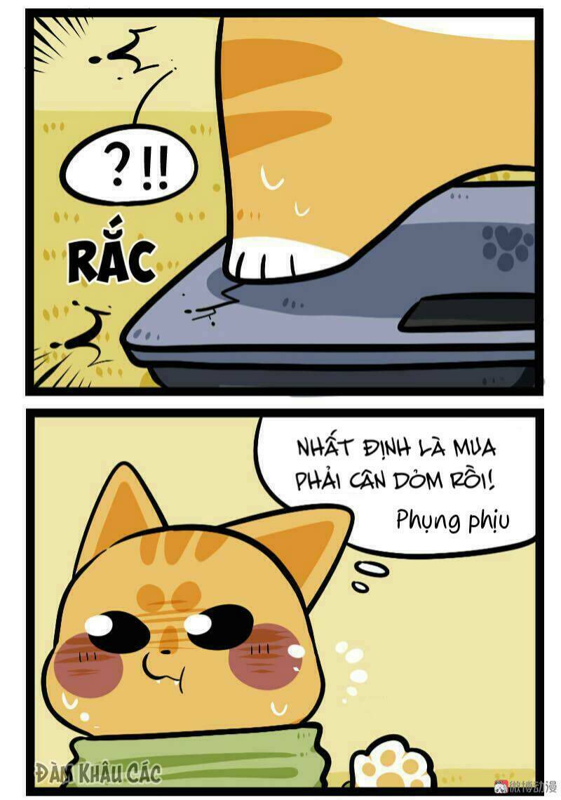 đời không như mình tưởng chapter 60 5