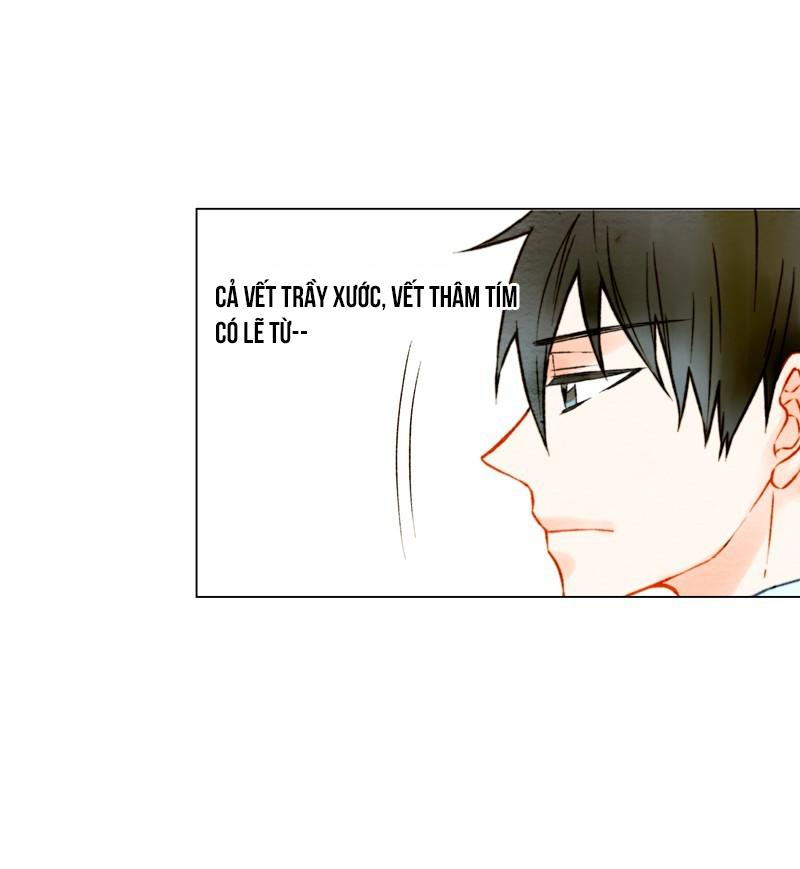 sao chép chapter 13 19