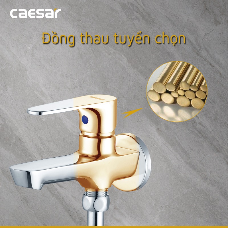 Vòi sen tắm lạnh gắn tường Caesar S063C tay dây sen xi