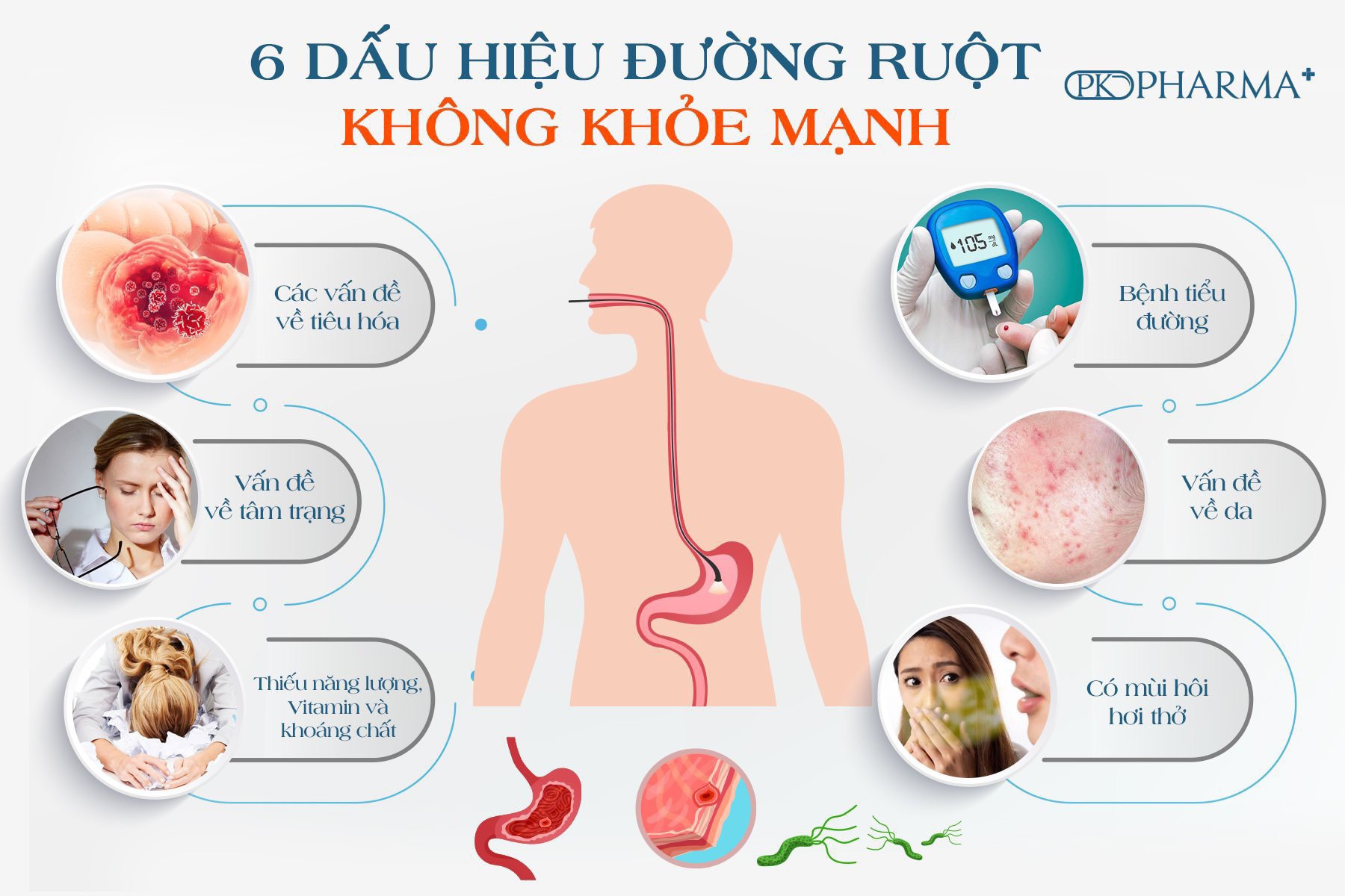 ]- Thải Độc Dạ Dày Phan Tả Diệp- Senna Detox- Pk Pharma-Dr Laicr