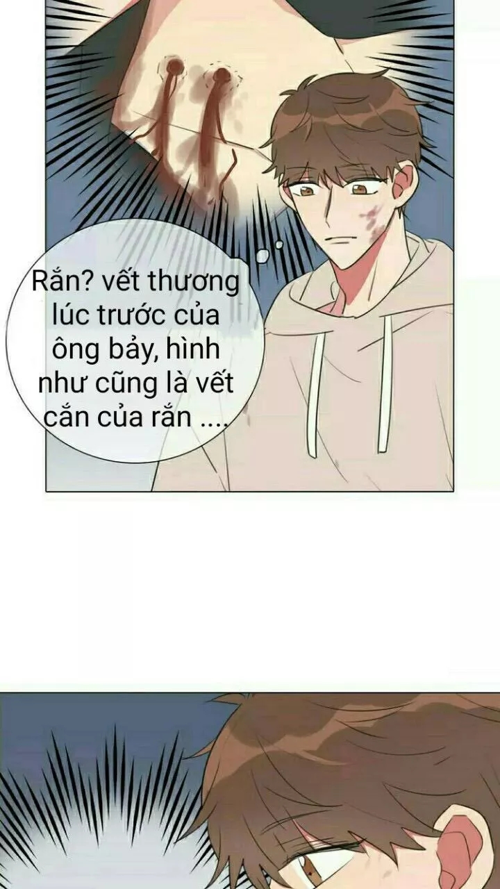 Bái Kiến Thất Cửu chapter 12