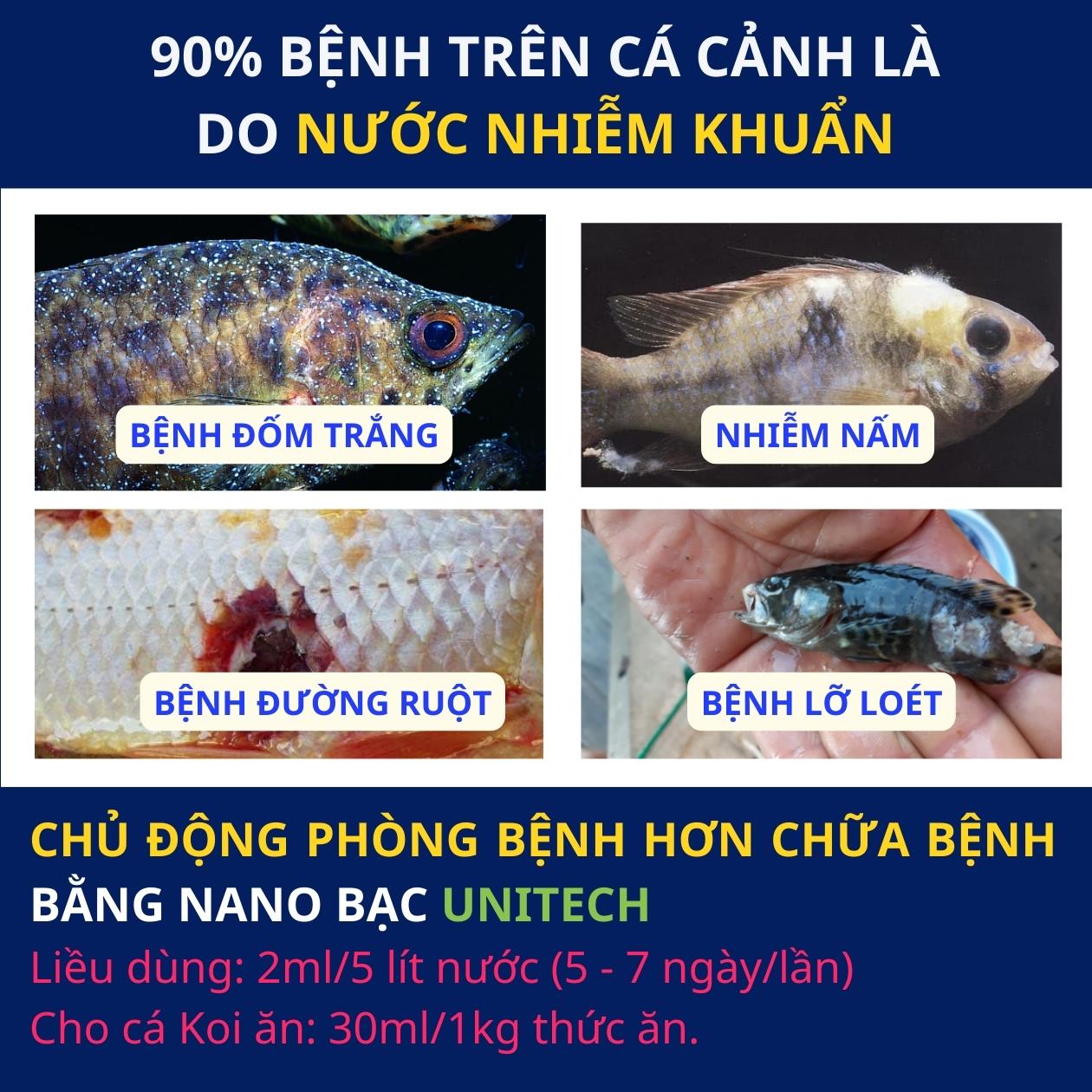 Nano bạc diệt khuẩn Unitech | Phòng bệnh tôm cá, ốc bươu, cá kèo, xử lý nước ao nuôi