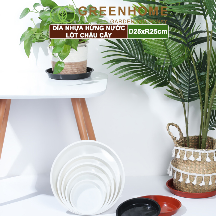 Dĩa nhựa lót chậu cây, nhựa nguyên sinh, bền, đẹp | Greenhome