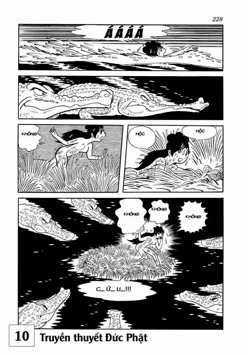 buddha - truyền thuyết đức phật chapter 49 19