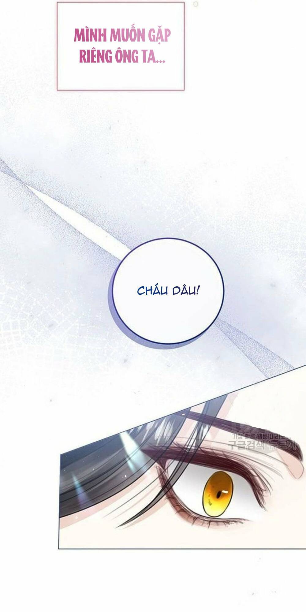 tôi sẽ từ bỏ vị trí hoàng hậu chapter 10 61