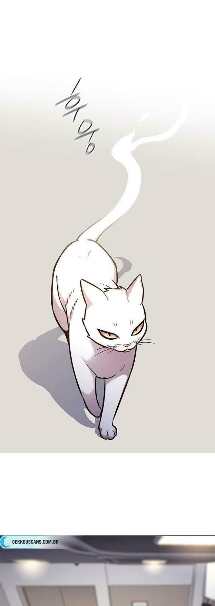 biến thân thành mèo chapter 166 8