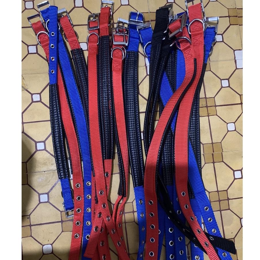 Vòng cổ cho chó Vòng cổ đệm da êm ái cho thú cưng