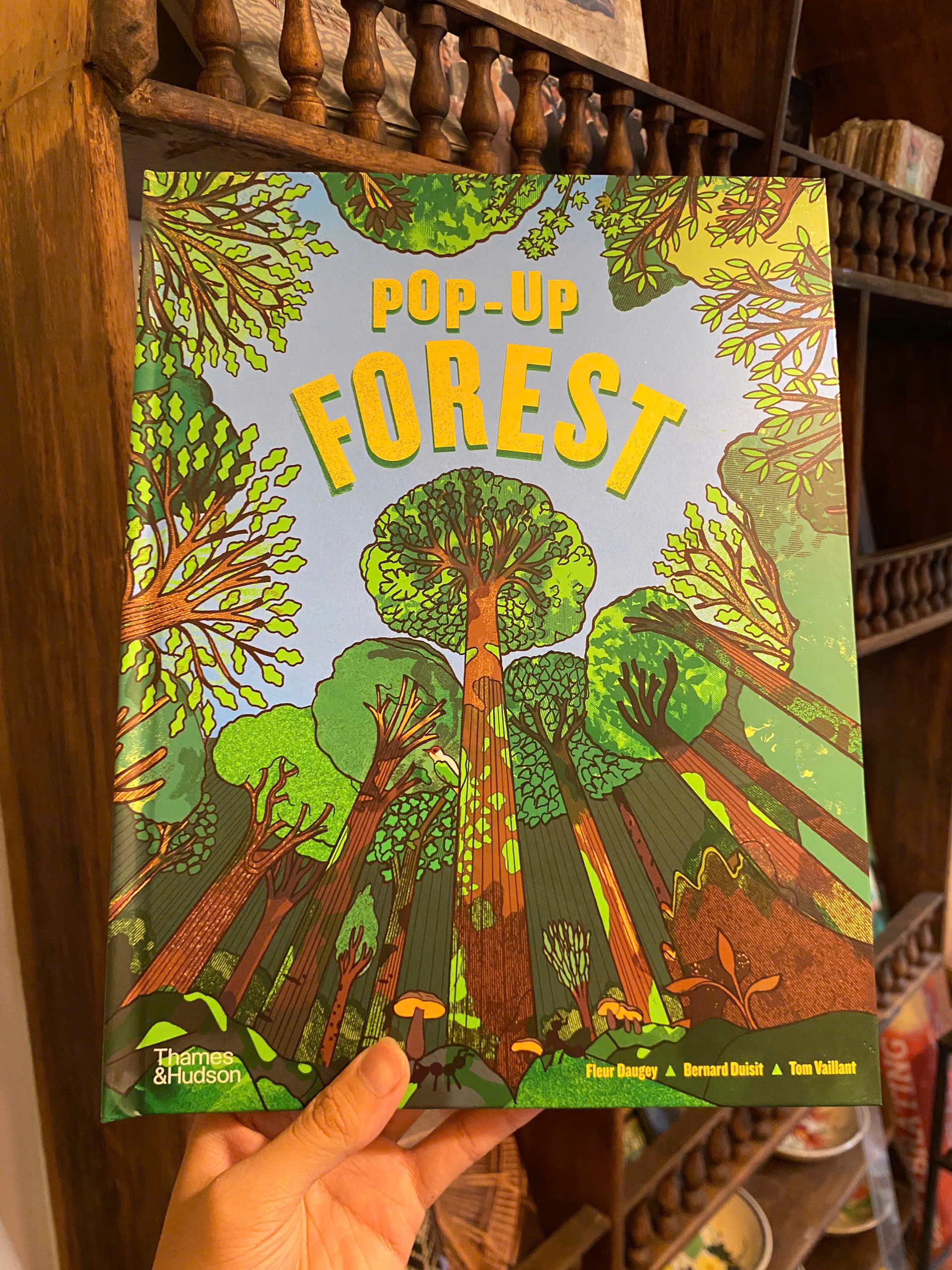 Sách - Pop-Up Forest by Tom Vaillant | Children Book in English / Ngoại văn Thiếu nhi Nhập khẩu