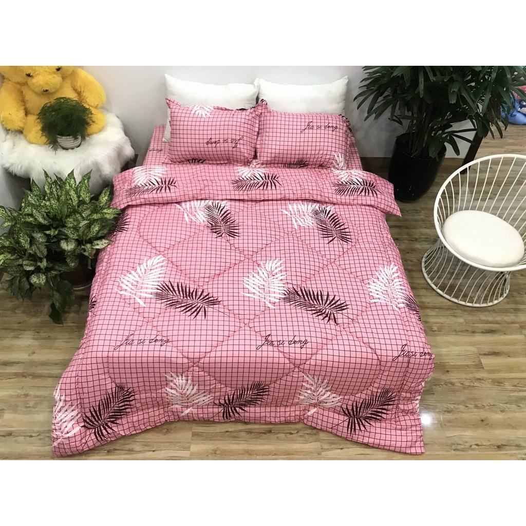 Set phao 5 món siêu rẻ