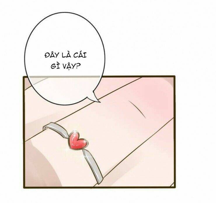 sau con mưa mùa hạ chapter 1 23