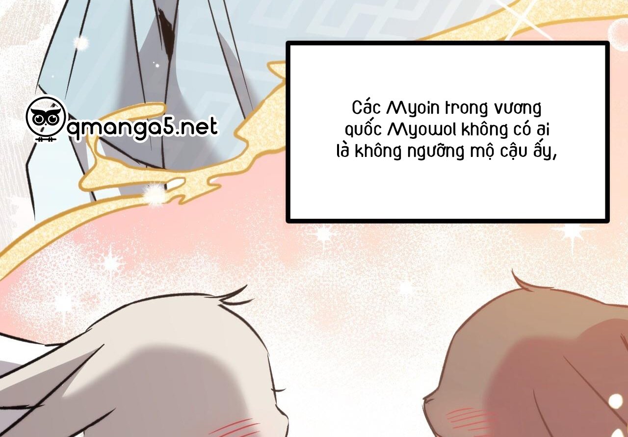 những chú thỏ của hapypy chapter 59 19