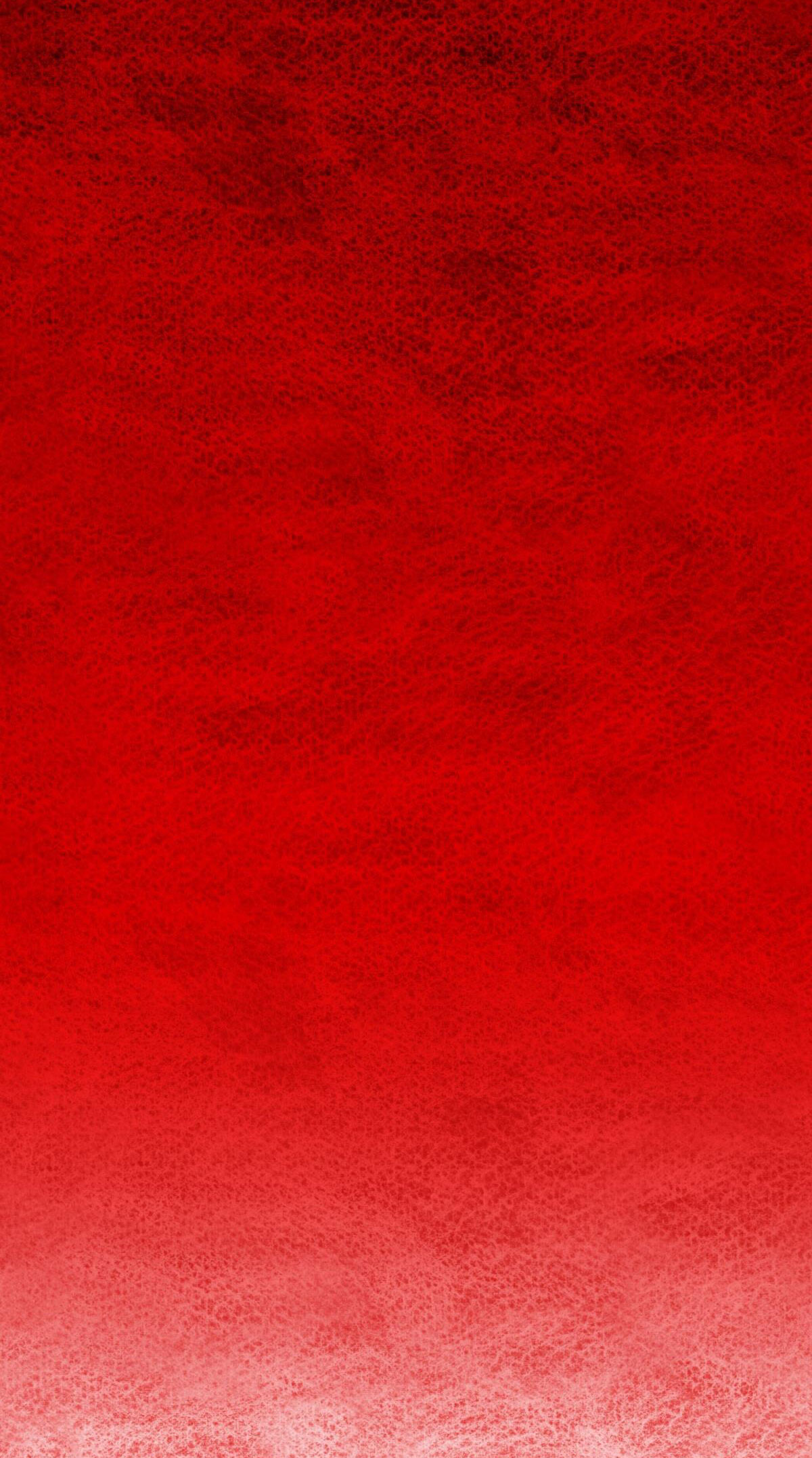 bánh xe của charlotte chapter 11.2 31