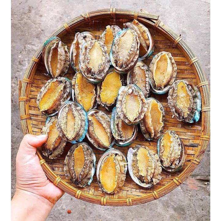 Bào ngư Hàn Quốc lớn tươi ngon - 1 con