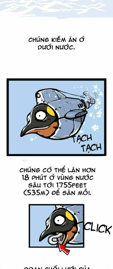 earth, human, and animal chapter 7 6