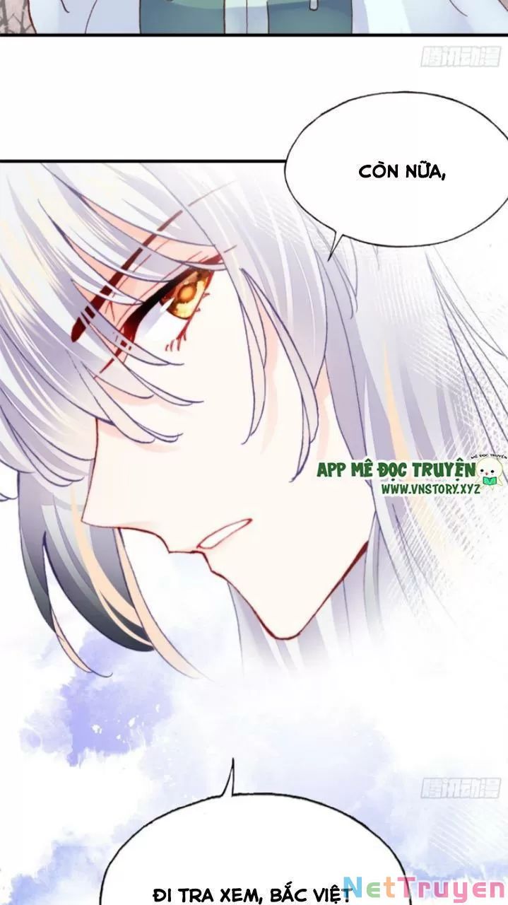 lại bị bệnh chiều chuộng quấn lấy chapter 26 43