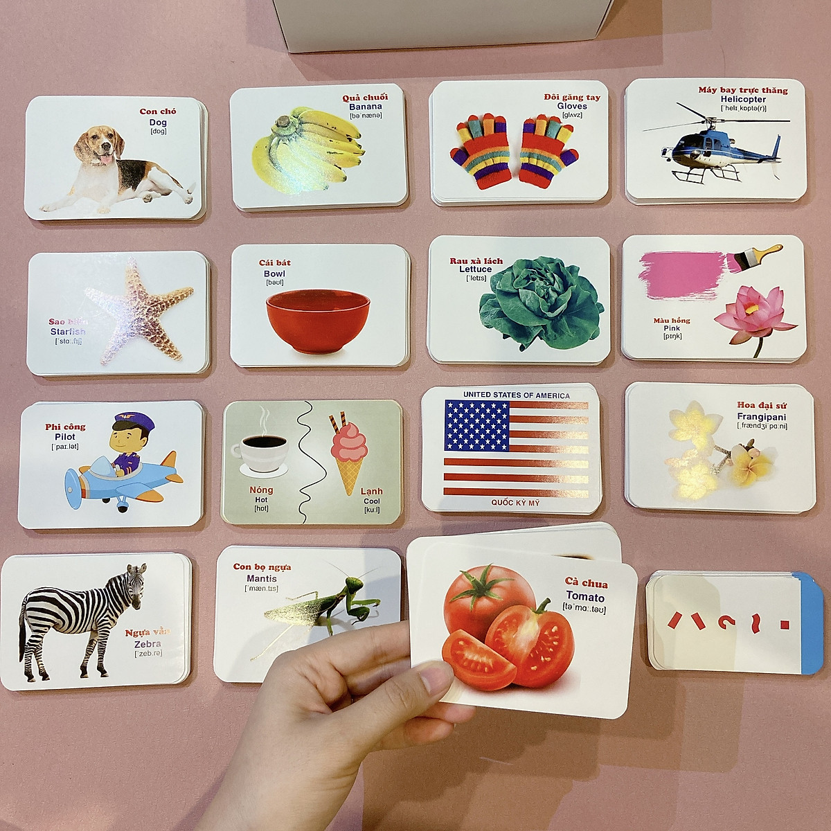 Bộ Thẻ học Thông minh - 416 Thẻ Flashcards Tiếng Anh - 16 Chủ đề mới nhất