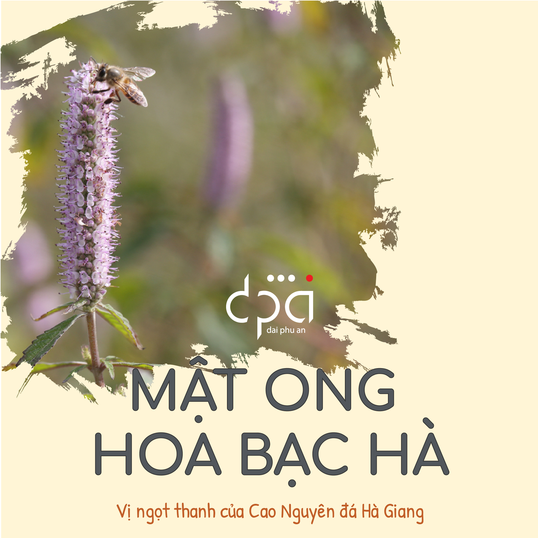 Mật ong hoa bạc hạ vị ngọt thanh Cao Nguyên đá Hà Giang, nguyên chất 100%, không đóng đường, không bảo quản