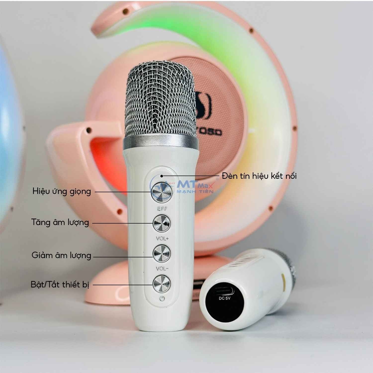 Loa Bluetooth YS110 - Tặng Kèm 2 Micro Không Dây, Hỗ Trợ Kết Nối Bluetooth. AUX. Khe Cắm Thẻ Nhớ TF, Sự Lựa Chọn Lý Tưởng Cho Những Ai Yêu Thích Âm Nhạc Hàng Chính Hãng