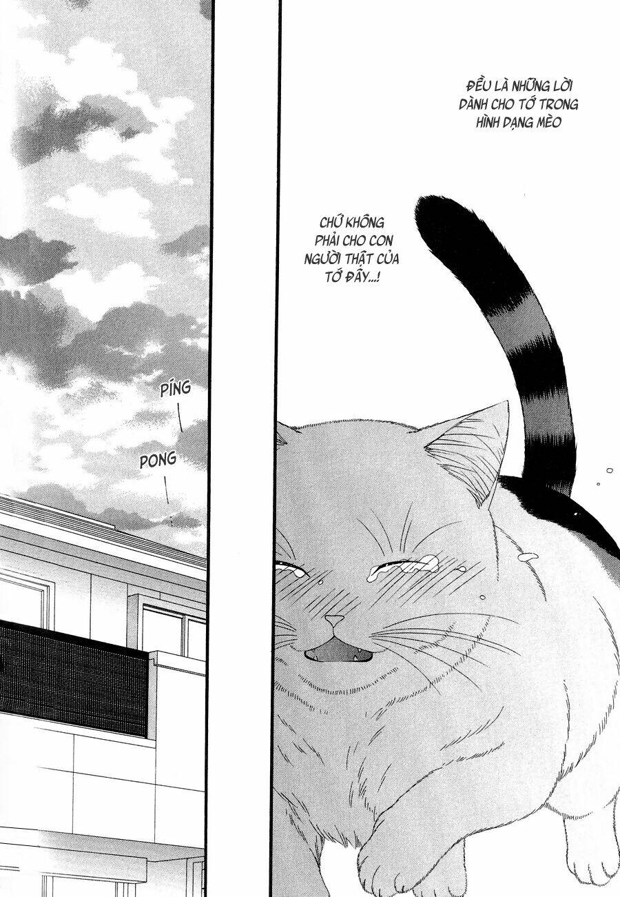 neko neko honey chapter 11 24