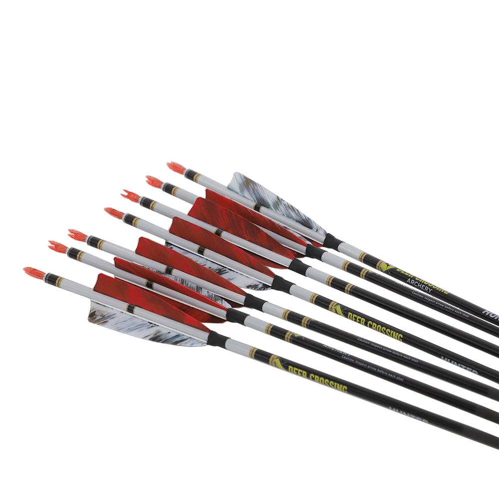 6/12 Mới ID 6.2 Carbon Mũi Tên Cột Sống 300 340 400 500 600 700 800 Thổ Nhĩ Kỳ Lông Vũ Bắn Cung Cung Săn Bắn Color: 12pc Sp400 Red
