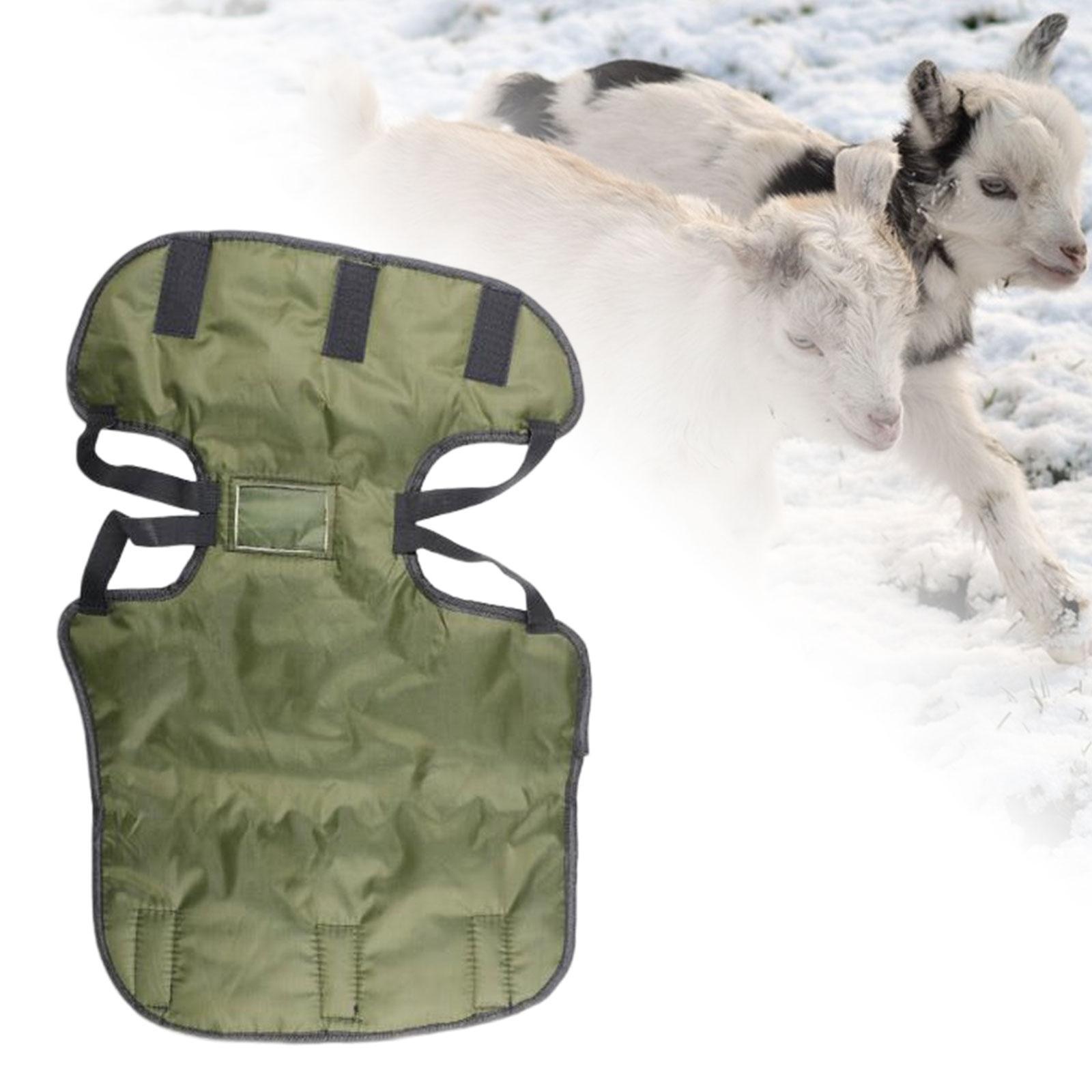 Cow Blanket Waterproof Belly Protection Calf Warm Clothes for Cattle Lamb