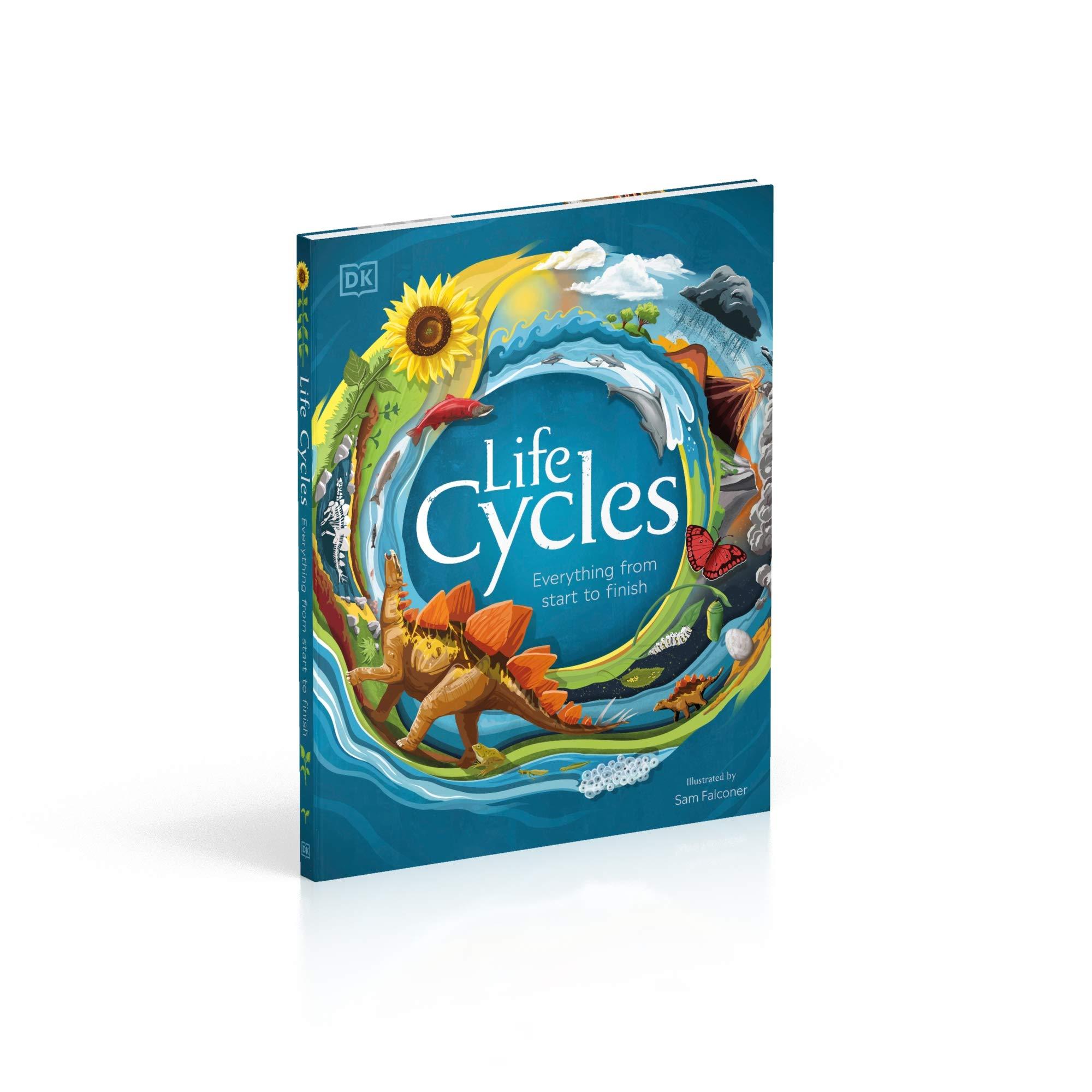 Life Cycles: Everything From Start To Finish