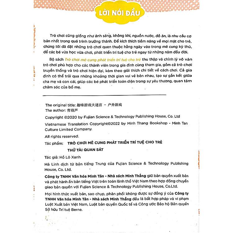 Sách Trò Chơi Mê Cung ( 2 - 8 tuổi)