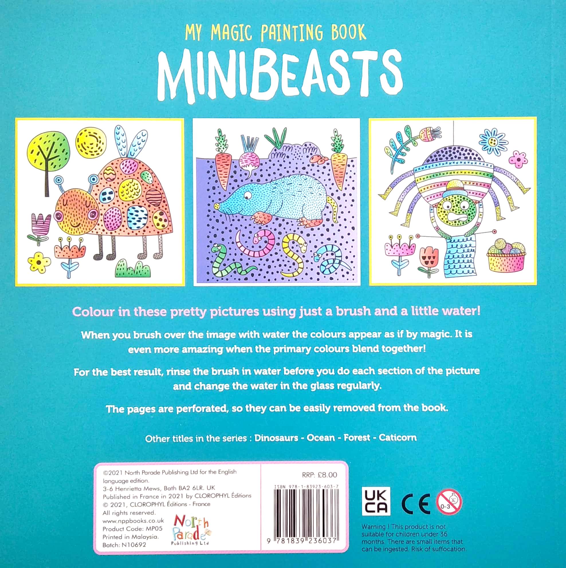 My Magic Painting Book: Minibeasts