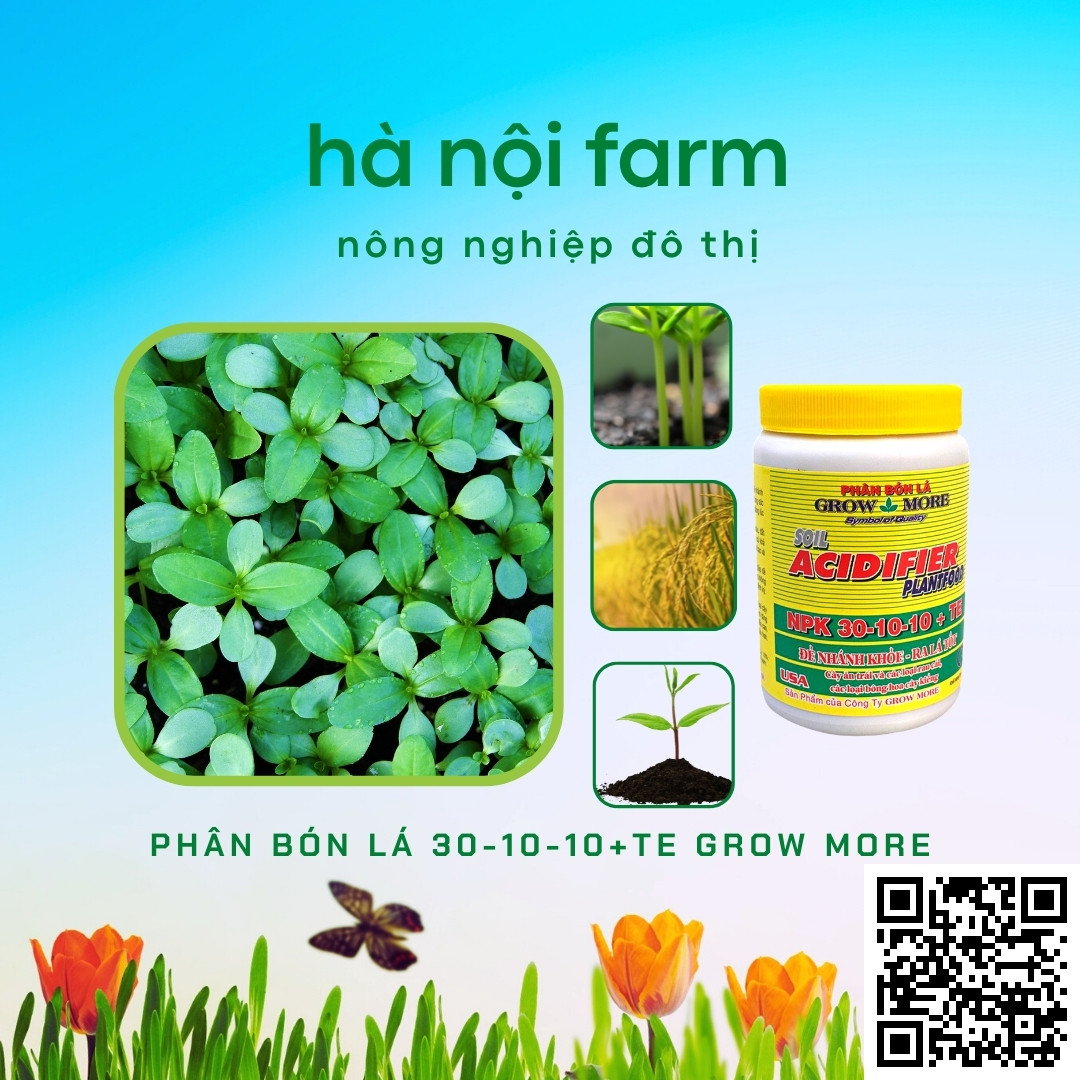 Phân bón lá 30-10-10 Grow More - Hũ 100g