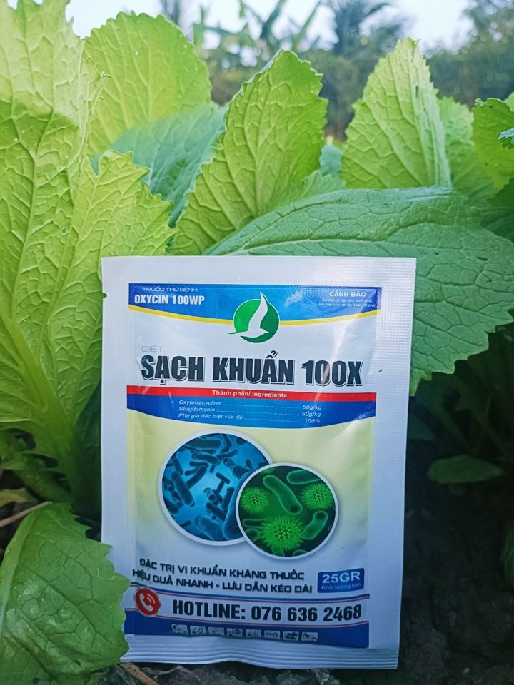 SẠCH KHUẨN 25G - Đ́ ̂̉ ̉ ̛́ 1 gói