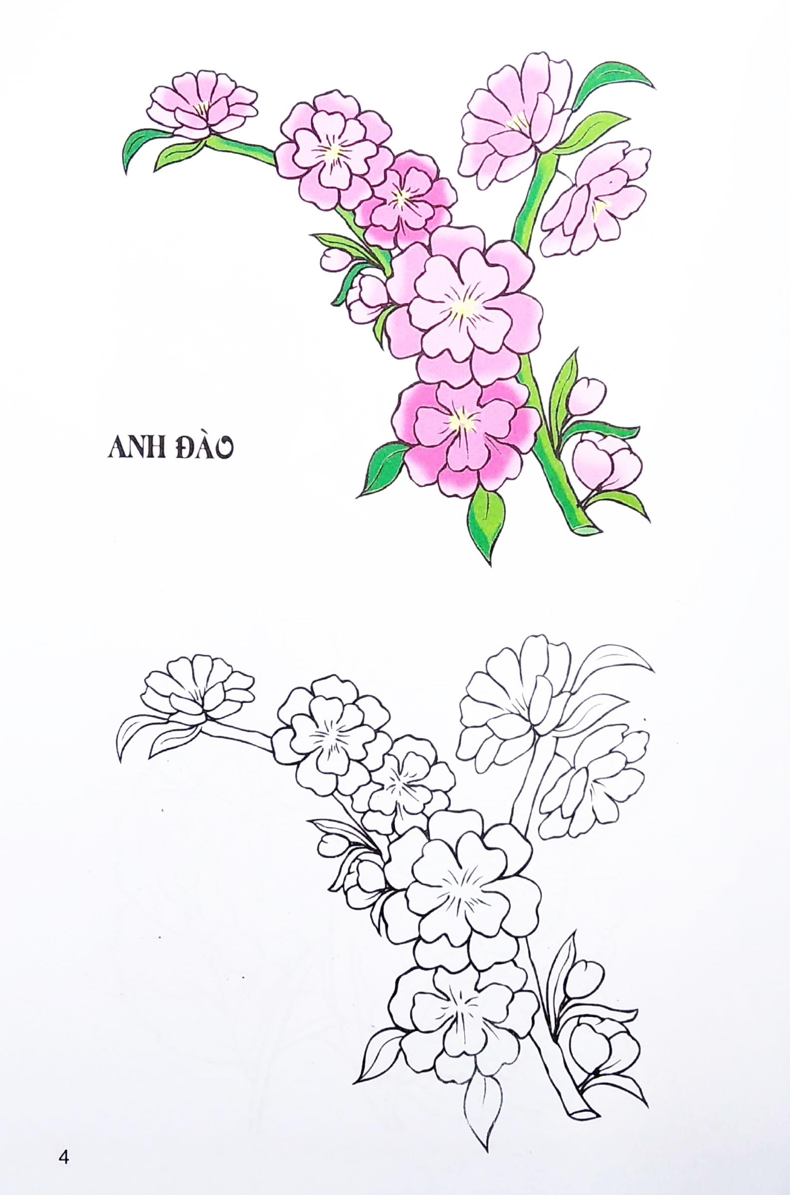 Sách - Tập Tô Màu - Các Loại Hoa