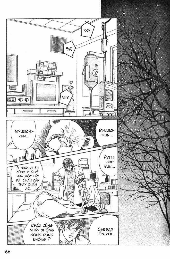 wild cats chapter 1 69