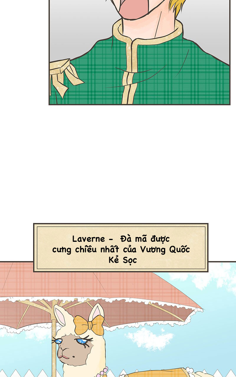 những nàng công chúa bị nguyền rủa chapter 16 43