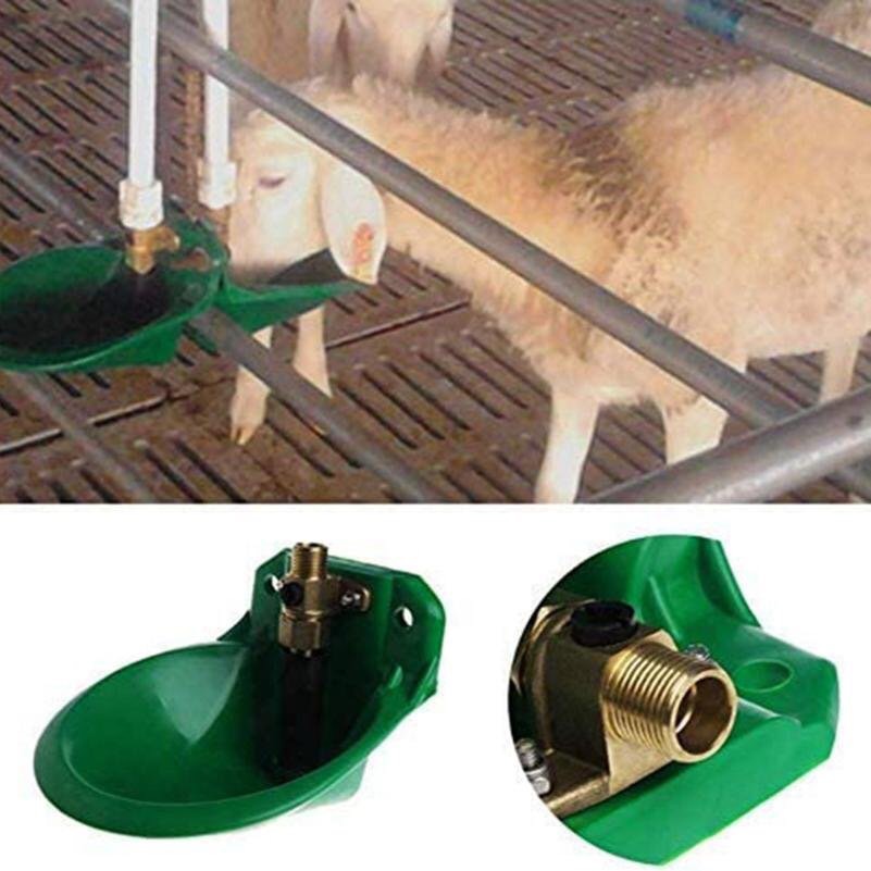 Máng uống nước tự động cho dê cừu