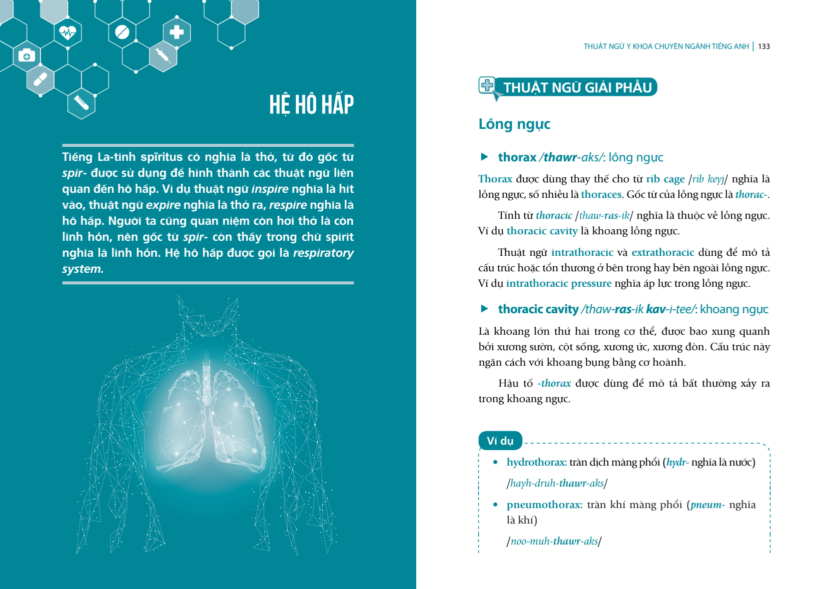 Thuật Ngữ Tiếng Anh Chuyên Ngành Y Khoa - Cho người mới bắt đầu (Medical Terminology)