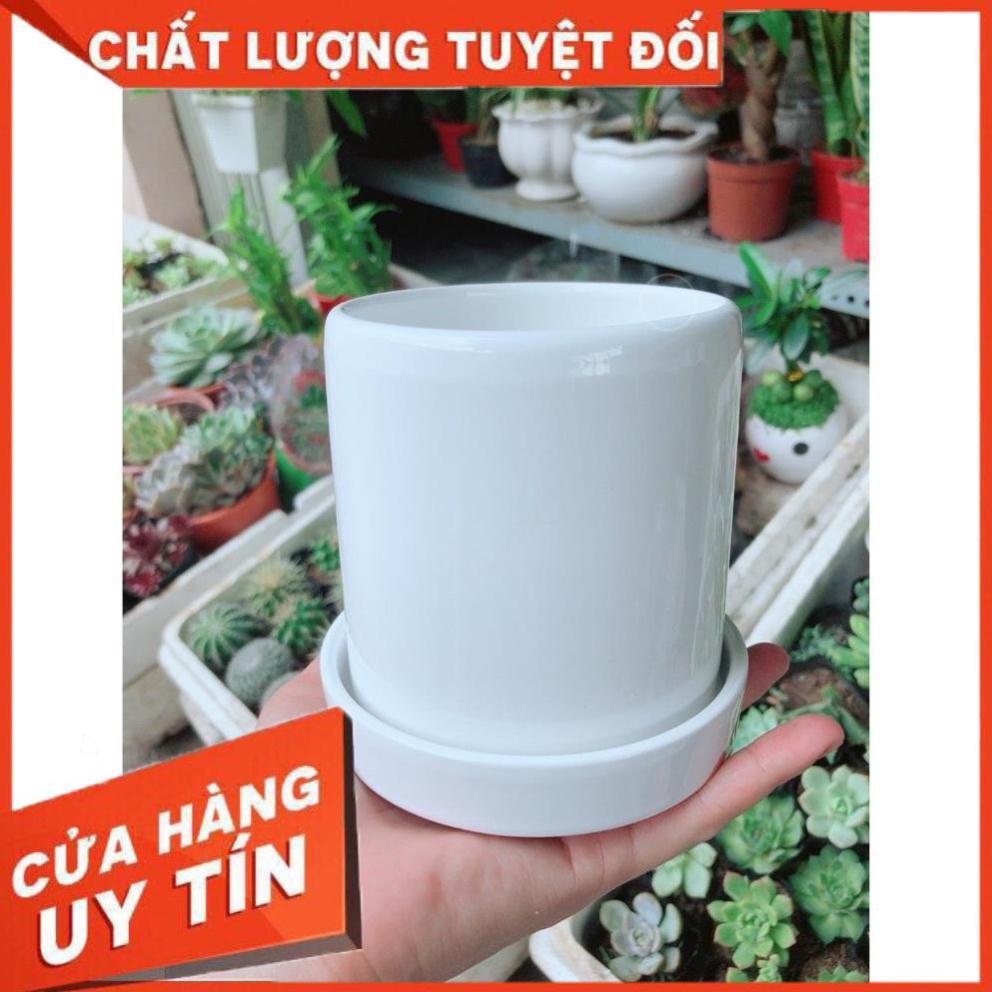 Chậu kiểu trắng trơn có dĩa lót