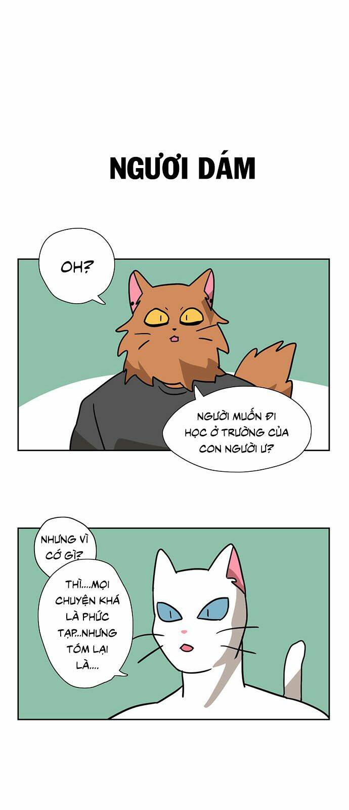hoàng tử vương quốc mèo chapter 4 17