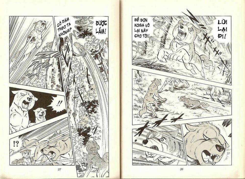 chú chó có nghĩa - ginga nagareboshi gin chapter 19 12