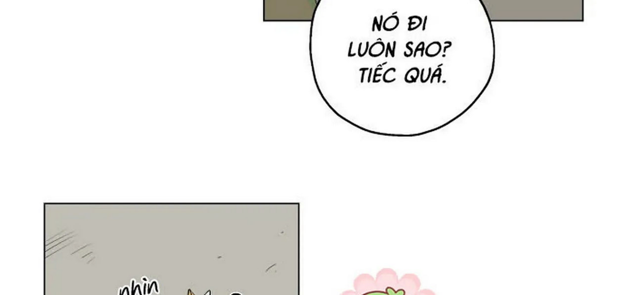 chuyện quái gì với giấc mơ đó vậy chapter 1 104