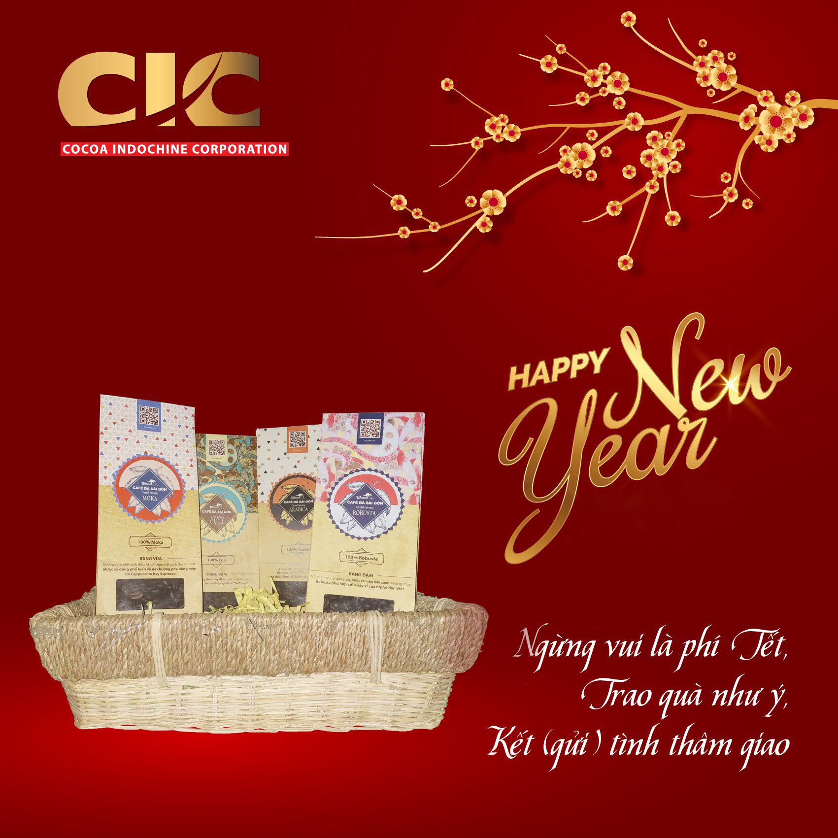COMBO Cà phê hạt rang