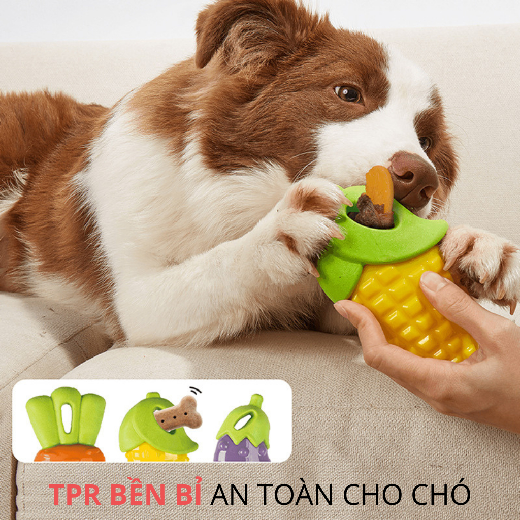 Đồ chơi cho chó FOFOS, Đồ chơi nhai gặm hình trái cây, Có tiếng kêu, Tốt cho răng chó, TPR an toàn, Bảo vệ đồ đạc