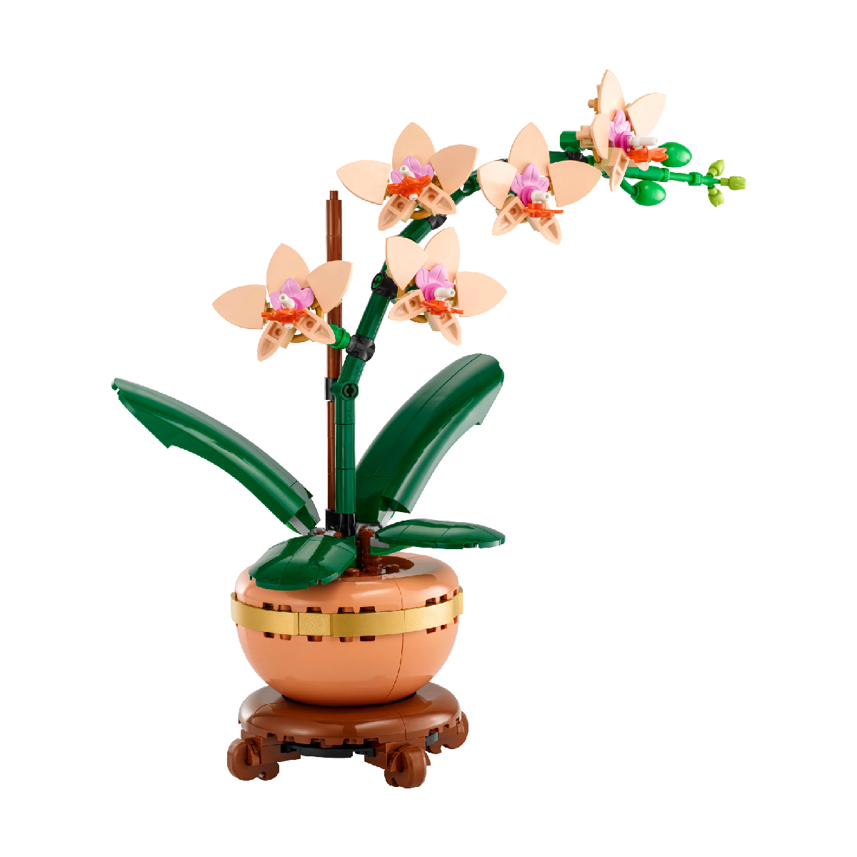 LEGO BOTANICALS 10343 Đồ Chơi Lắp Ráp Hoa Lan Nhỏ (274 Chi Tiết)